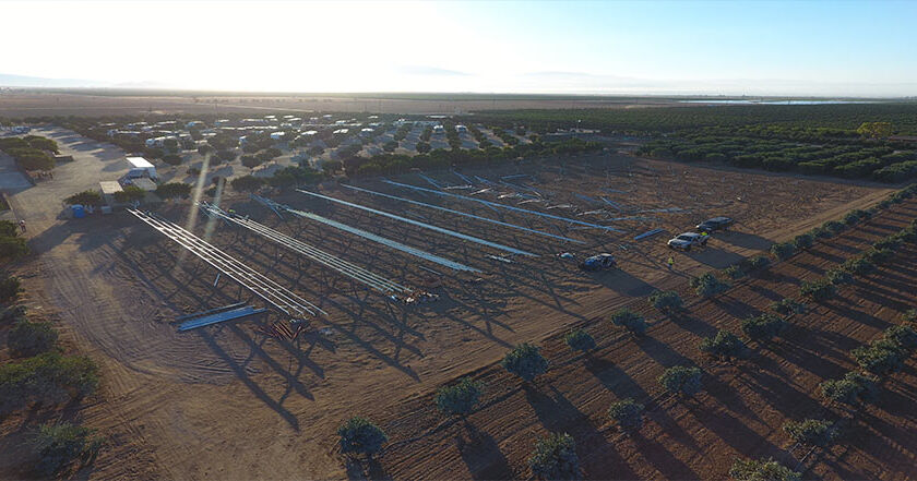 orange-grove-1