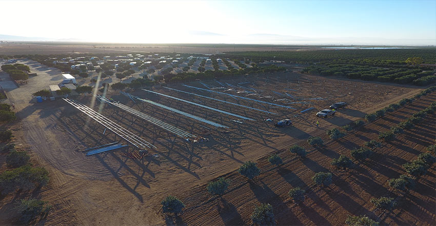 orange-grove-1